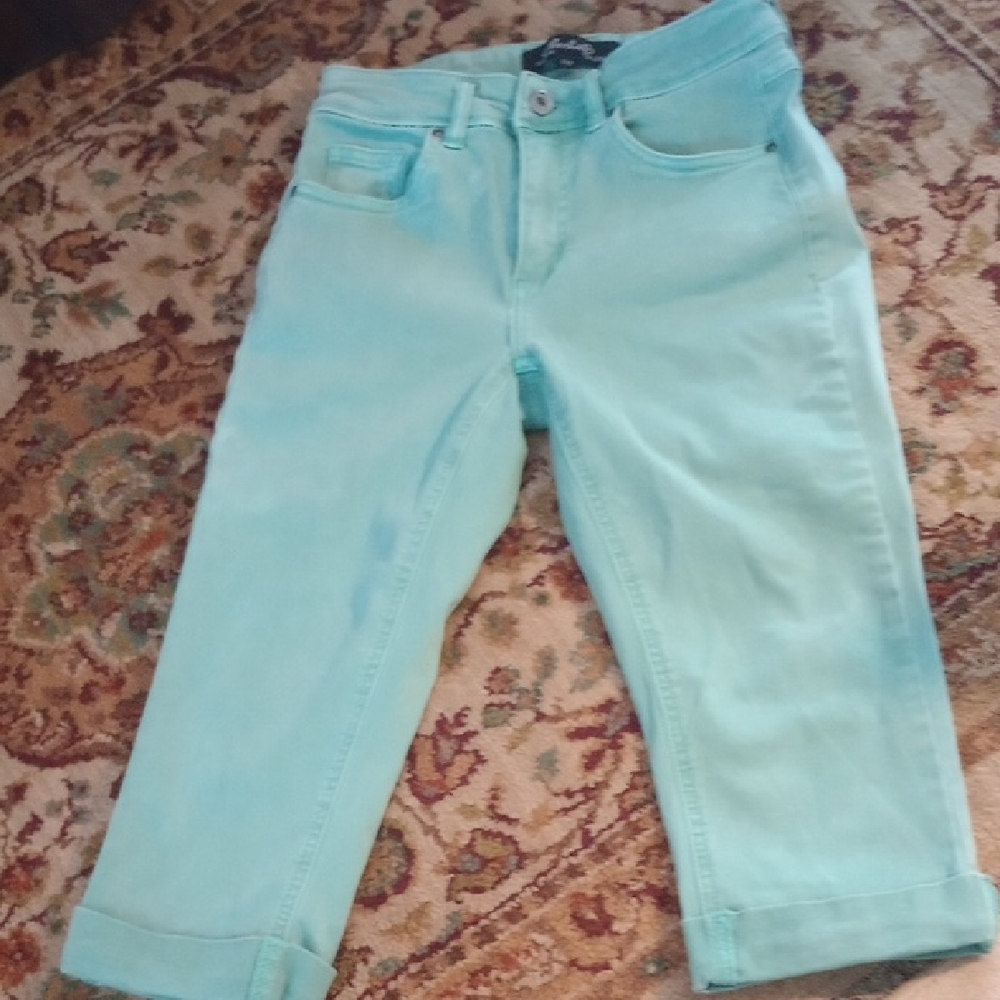 CHARLIE B Blue Jean Shorts Summer Essential
